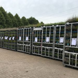 Overzicht Veilingkarren